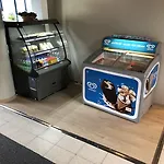 Hotel Pilot Airport